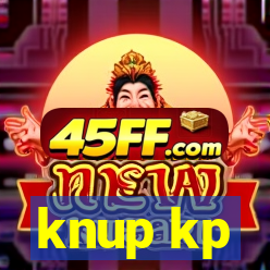 knup kp-t89 driver